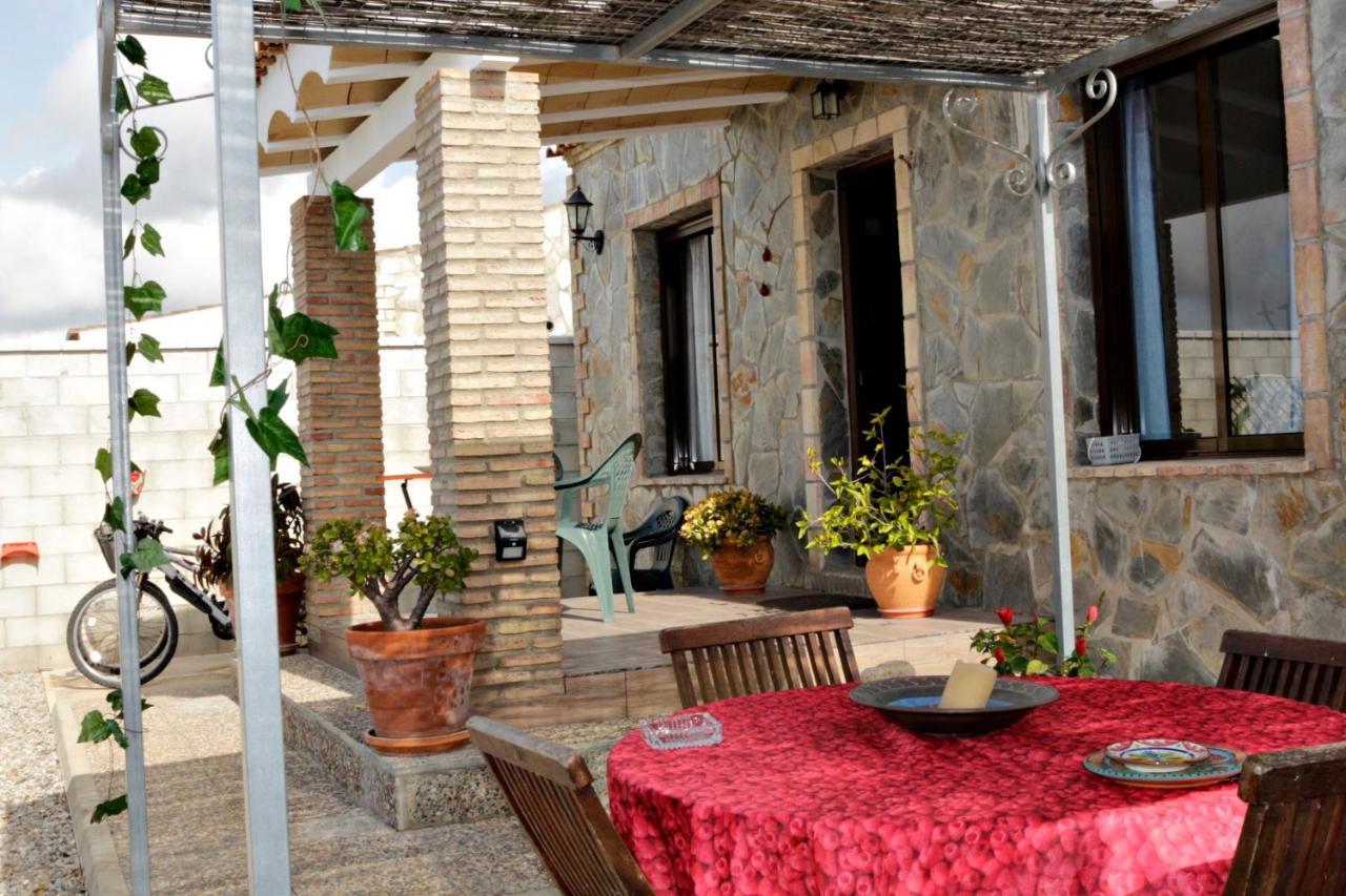 Chalet Mirlo Conil De La Frontera Buitenkant foto